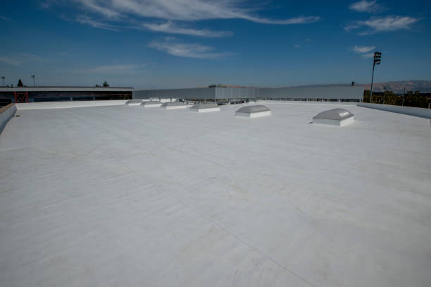 Best Chimney Flashing Repair  in Dupo, IL