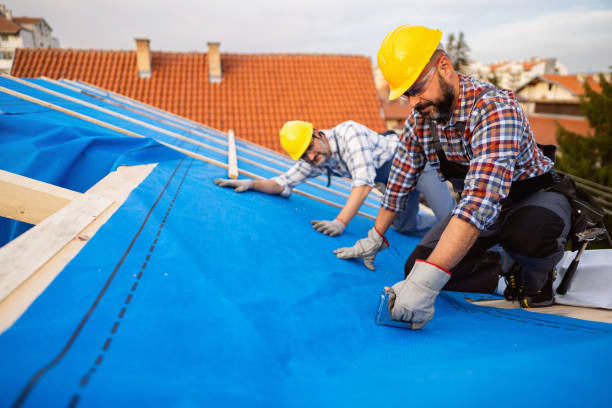Best Flat Roofing  in Dupo, IL