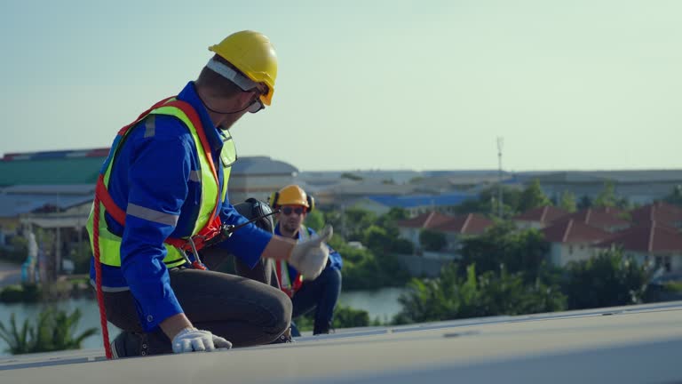 Best Roof Moss and Algae Removal  in Dupo, IL