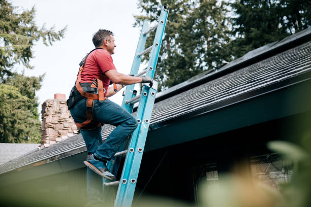 Best Roof Maintenance and Cleaning  in Dupo, IL