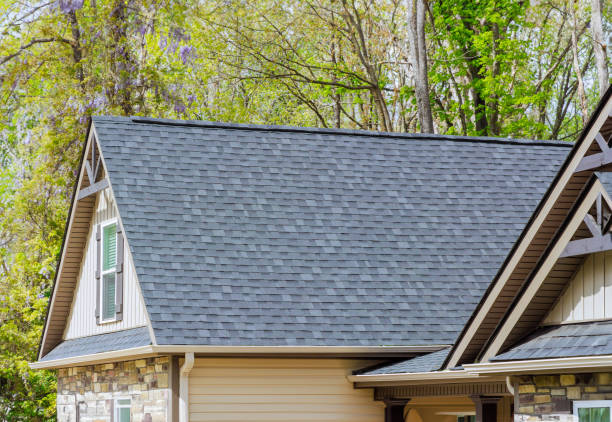 Best Roof Leak Repair  in Dupo, IL